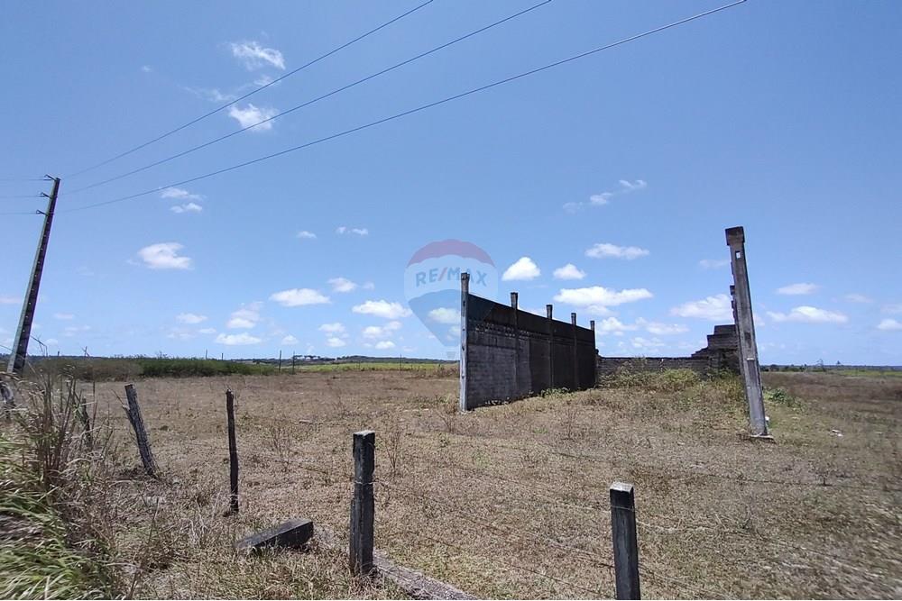 Terreno - Alugar - São José de Mipibu , Rio Grande do Norte - WhatsApp Image 2024-10-07 at 08.39.01.jpeg - 720891134-413