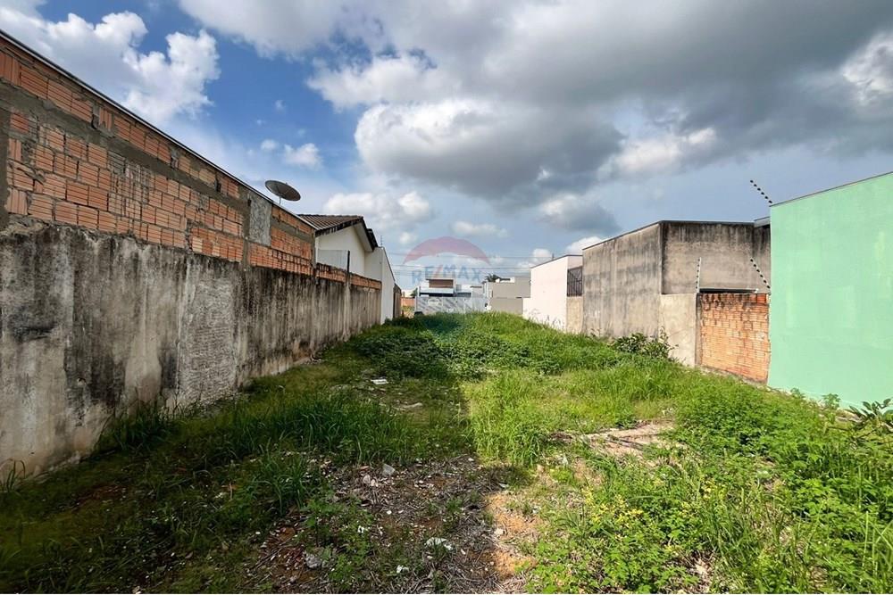 Residential - Nezazidljivo zemljišče - Sinop , Mato Grosso - BR - WhatsApp Image 2024-12-06 at 07.54.11.jpeg - 721561039-23