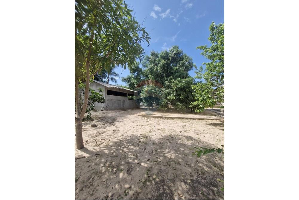 Chácara / Sítio / Fazenda - Venda - Barra do Garças , Mato Grosso - WhatsApp Image 2024-11-27 at 21.08.21 (1).jpeg - 722221026-15