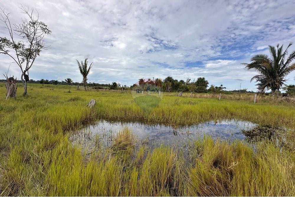 Fazenda - Venda - Itapuã do Oeste , Rondônia - IMG_0352.JPG - 721551004-289
