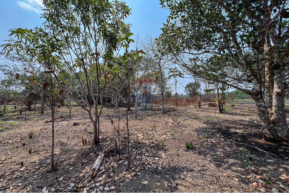 Chácara / Sítio / Fazenda - Venda - Candeias do Jamari , Rondônia - IMG_9107.jpg - 721551046-25