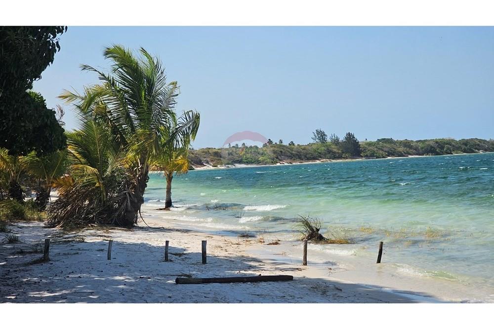 Terreno - Venda - Jijoca de Jericoacoara , Ceará - 20240923_141958.jpg - 722341001-43