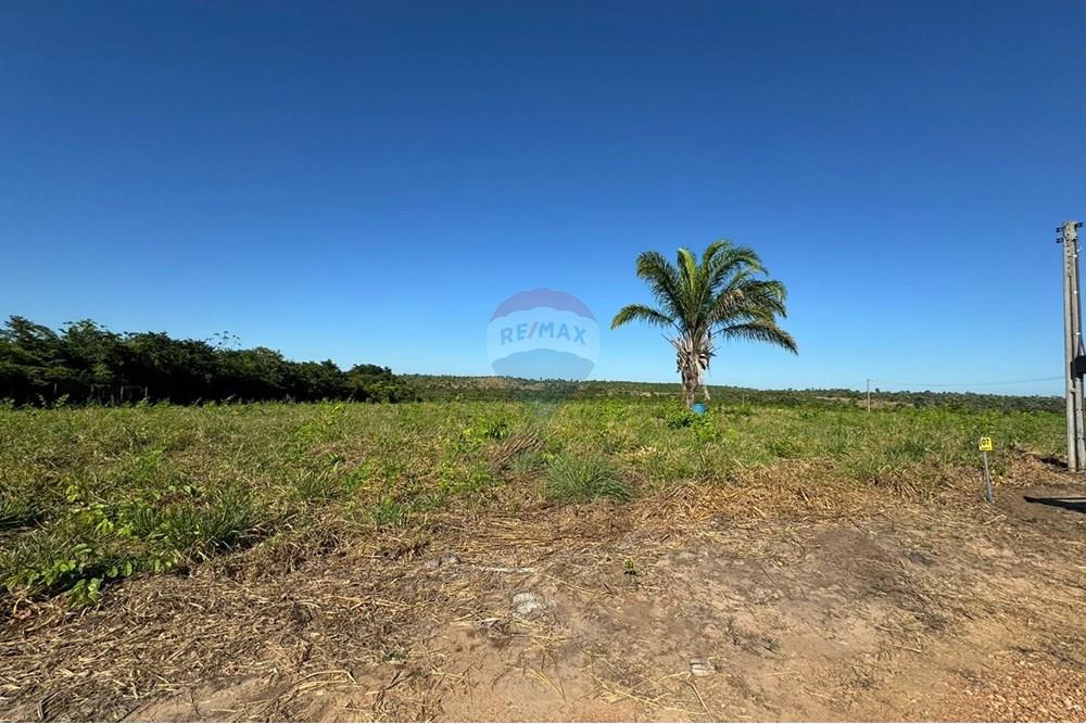 Terreno - Venda - Piçarra , Pará - WhatsApp Image 2024-07-18 at 17.06.56 (2).jpeg - 720991002-131