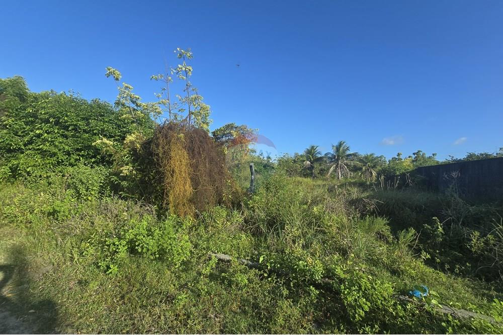 Terreno - Venda - Eusébio , Ceará - 12.jpg - 722031081-35