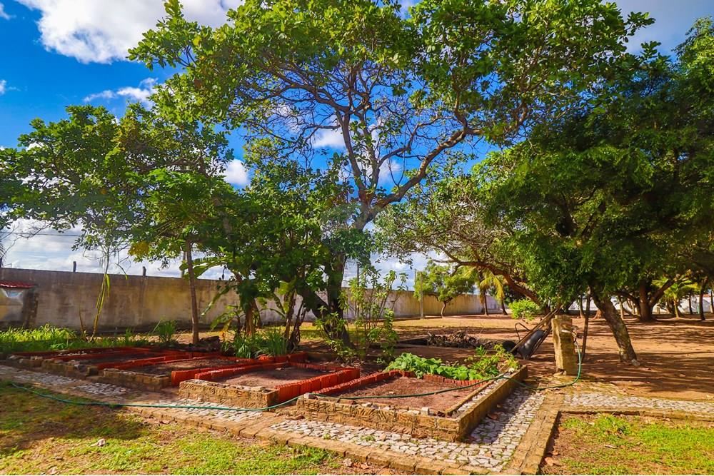 Chácara / Sítio / Fazenda - Venda - Nísia Floresta , Rio Grande do Norte - IMG_8458.jpg - 720891106-33