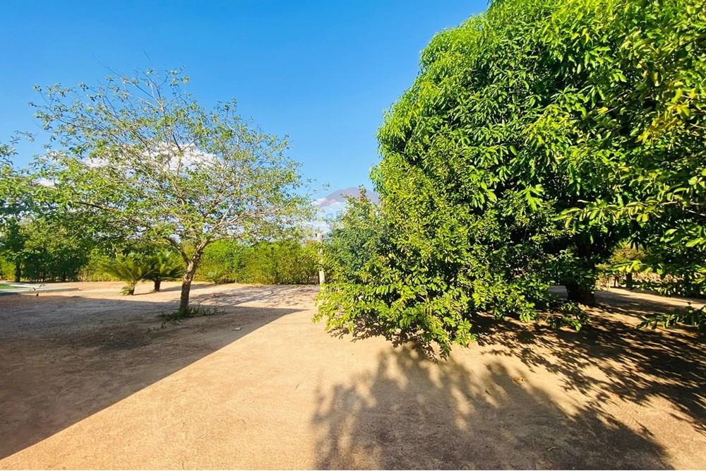 Chácara / Sítio / Fazenda - Venda - Parauapebas , Pará - IMG-20250908-WA0129.jpg - 722021013-13