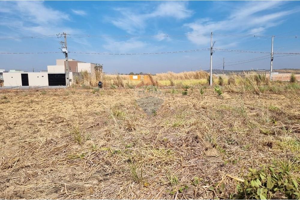 Terreno - Venda - Confresa , Mato Grosso - IMG-20250915-WA0034.jpg - 720641046-5