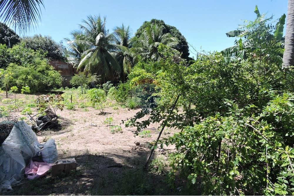 Terreno - Venda - Parnamirim , Rio Grande do Norte - DSCN4929.JPG - 720891150-66