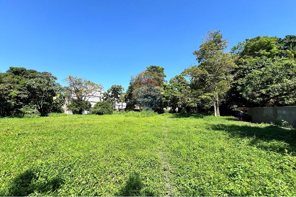 Terreno - Venda - Belém , Pará - IMG_3134.JPEG - 720921007-118