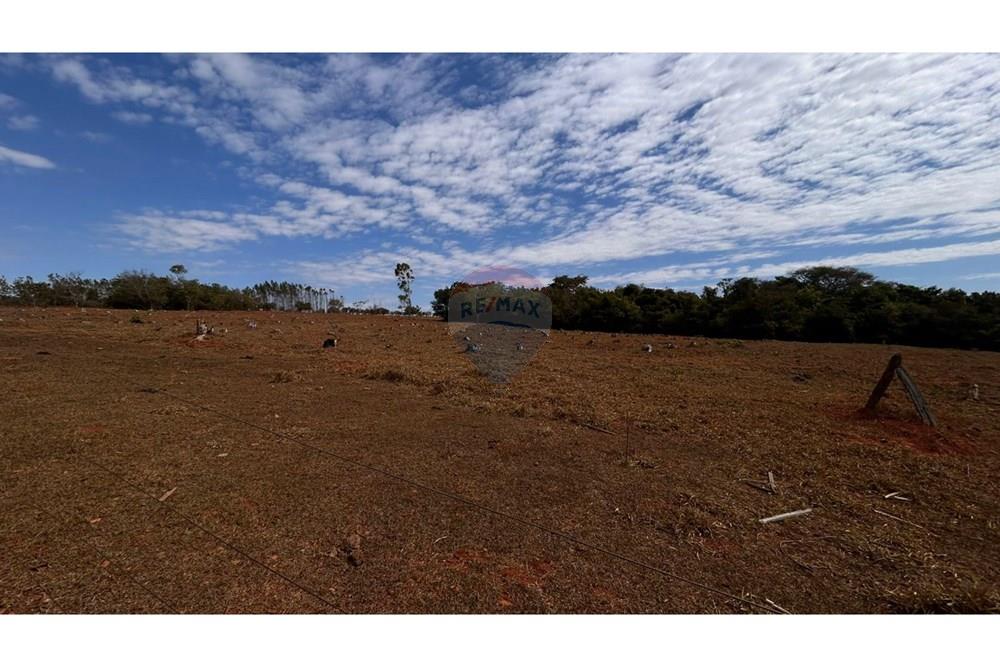 Chácara / Sítio / Fazenda - Venda - Catalão , Goiás - WhatsApp Image 2025-09-26 at 15.40.40.jpeg - 722251002-53