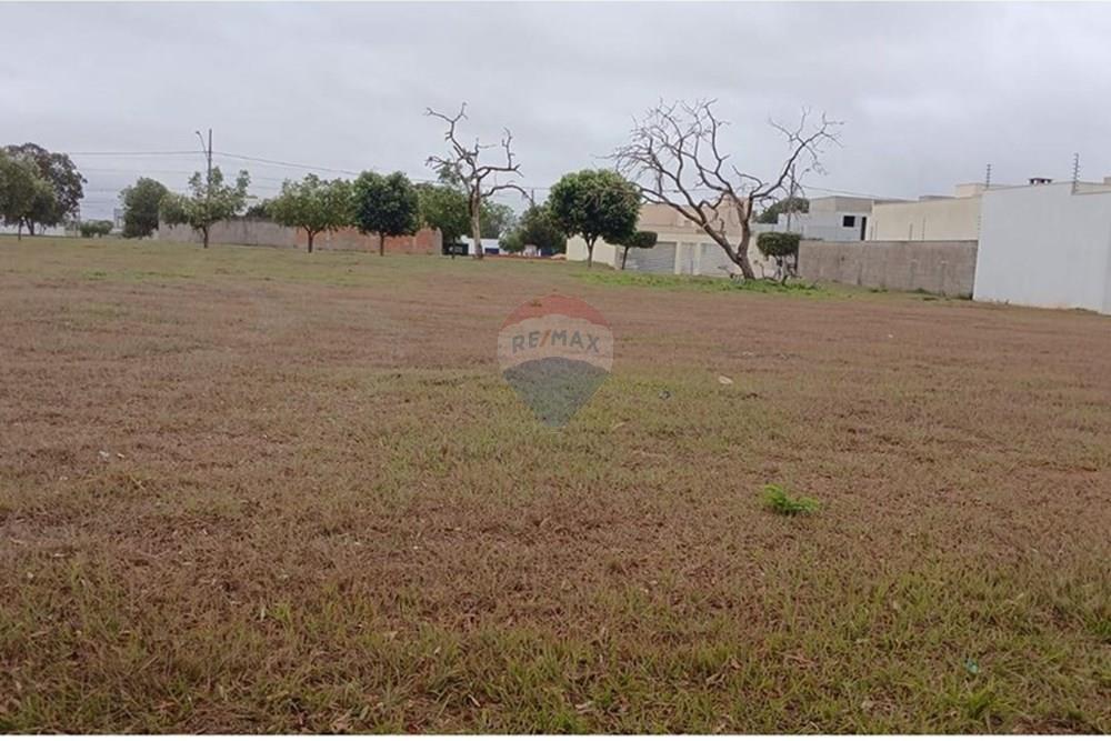 Terreno - Venda - Rondonópolis , Mato Grosso - WhatsApp Image 2025-08-07 at 12.34.06.jpeg - 721981066-4