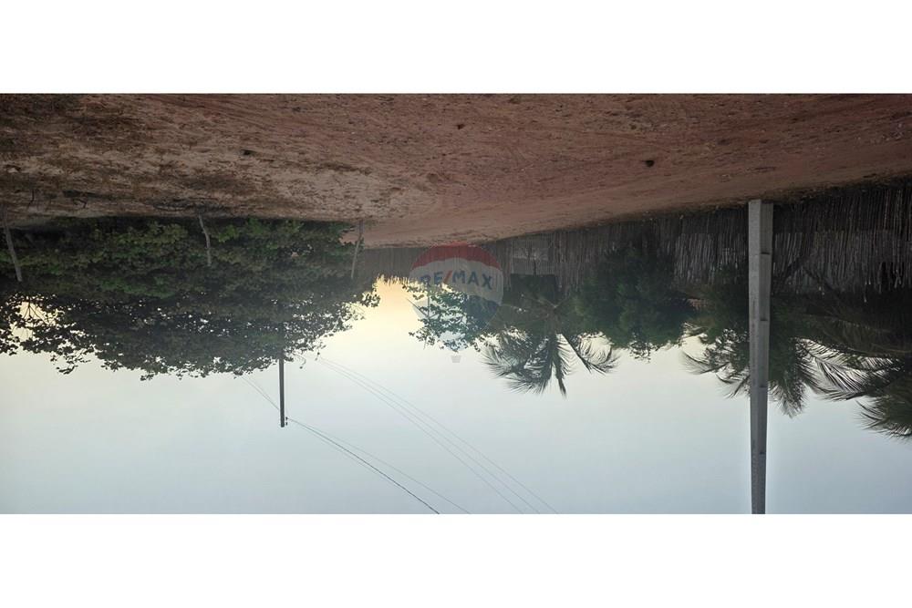 Terreno - Venda - Trairi , Ceará - 1000190168.jpg - 722341001-102