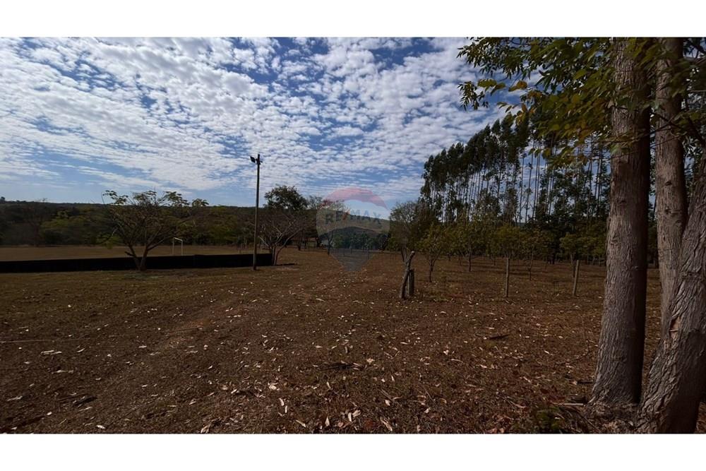 Chácara / Sítio / Fazenda - Venda - Catalão , Goiás - WhatsApp Image 2025-09-26 at 15.40.41.jpeg - 722251002-53