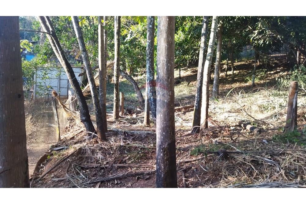 Chácara / Sítio / Fazenda - Venda - Goiânia , Goiás - WhatsApp Image 2025-01-29 at 10.16.24.jpeg - 722271015-4