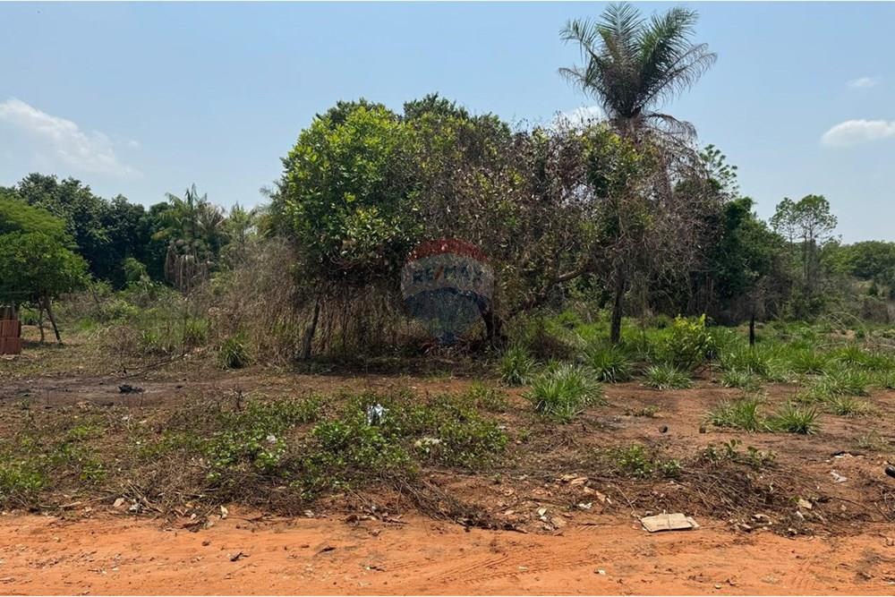 Terreno - Venda - Araguaína , Tocantins - WhatsApp Image 2024-11-29 at 17.45.36 (3).jpeg - 722171003-95