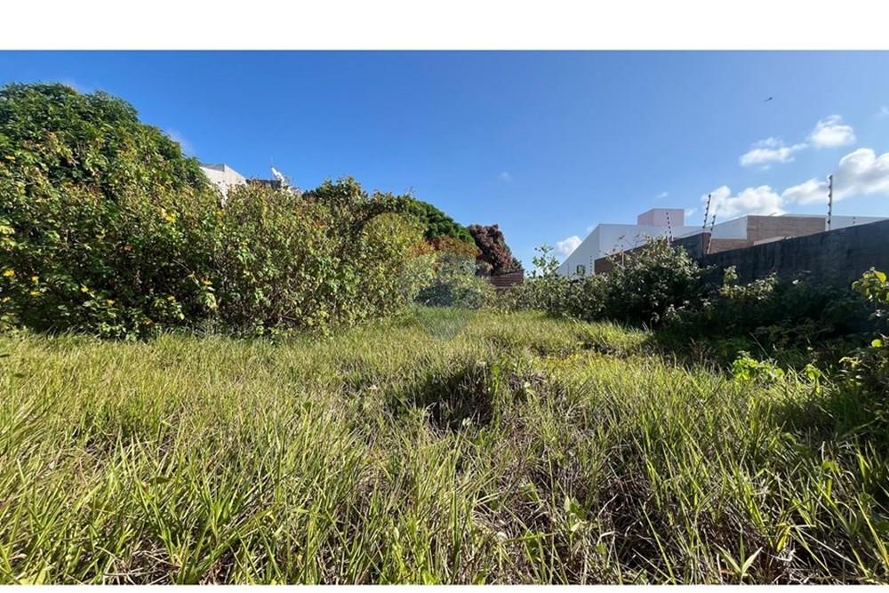 Terreno - Venda - Conde , Paraíba - WhatsApp Image 2025-10-16 at 14.18.35.jpeg - 720871004-214