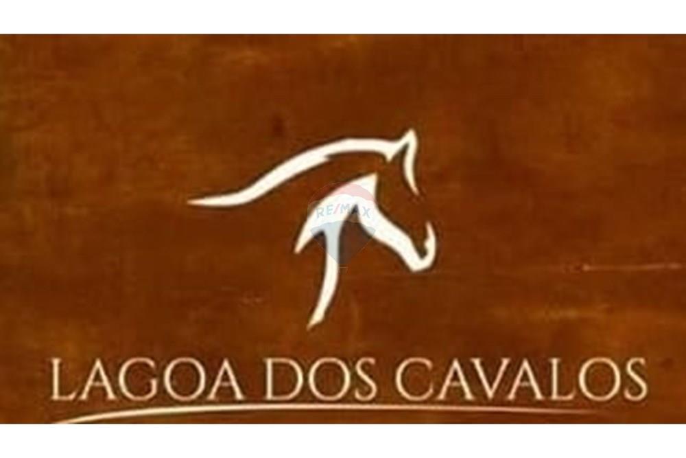 Outros - Venda - São José de Mipibu , Rio Grande do Norte - WhatsApp Image 2024-12-19 at 11.36.44 (1).jpeg - 720811013-62