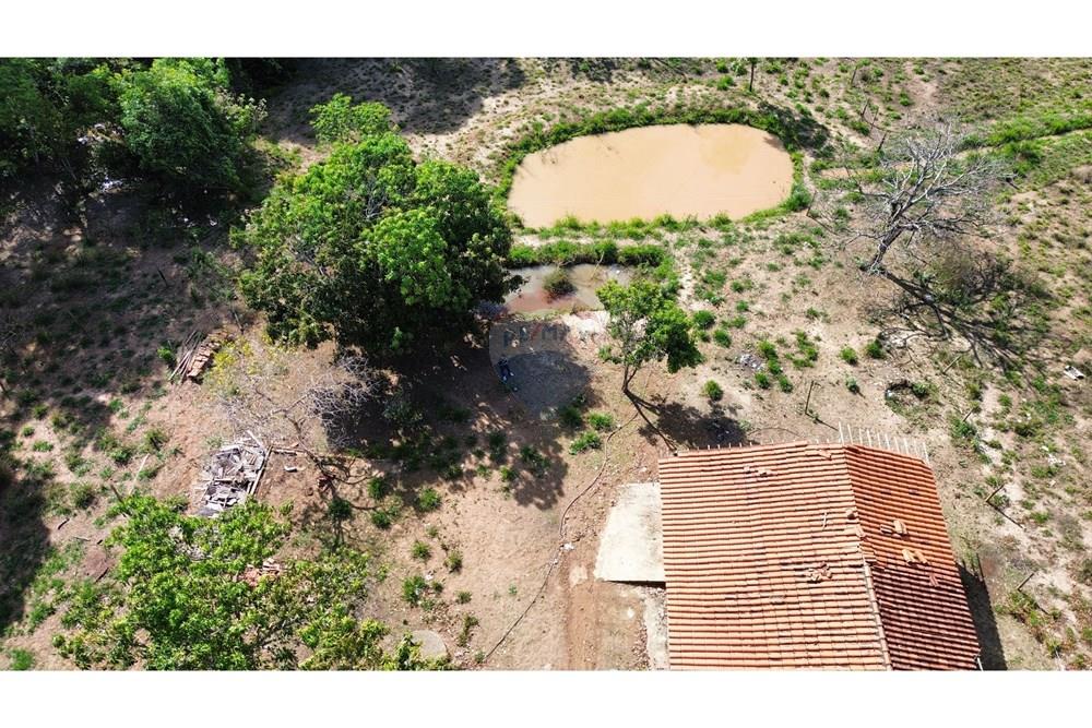 Chácara / Sítio / Fazenda - Venda - Caldas Novas , Goiás - IMG_6959.JPG - 722251025-1