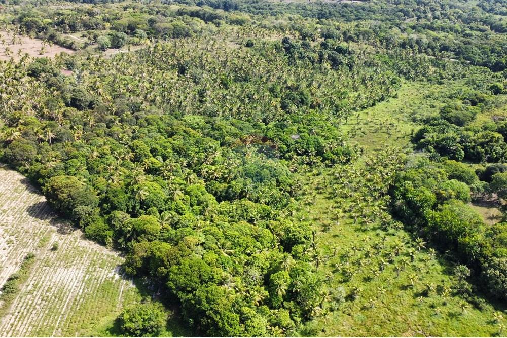 Chácara / Sítio / Fazenda - Venda - Conde , Paraíba - dji_fly_20250123_142420_389_1737653121852_photo_optimized1.jpg - 722011055-36