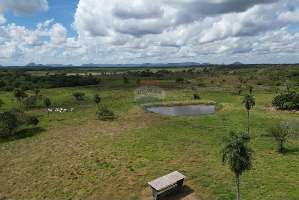 Agro - Venda - Babaçulândia , Tocantins - DJI_0286.JPG - 720991010-71