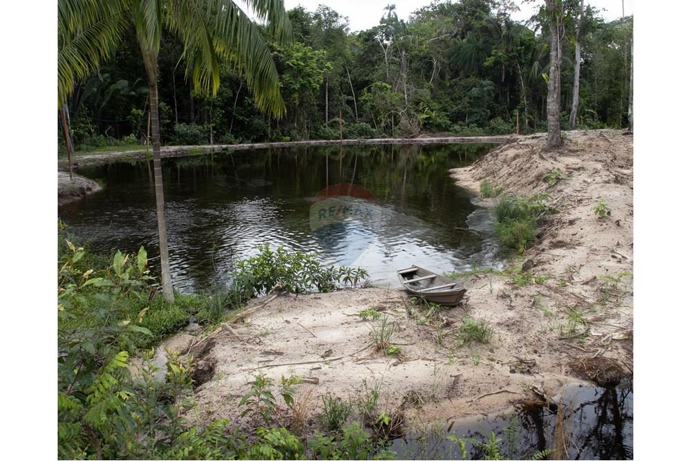 Chácara / Sítio / Fazenda - Venda - Novo Airão , Amazonas - IMG_7524.jpg - 720721055-29