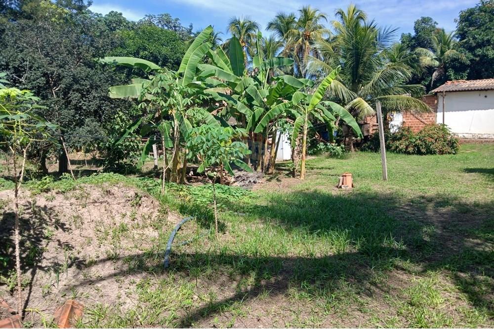 Chácara / Sítio / Fazenda - Venda - Rondonópolis , Mato Grosso - WhatsApp Image 2025-05-12 at 16.32.18 (15).jpeg - 720611007-91