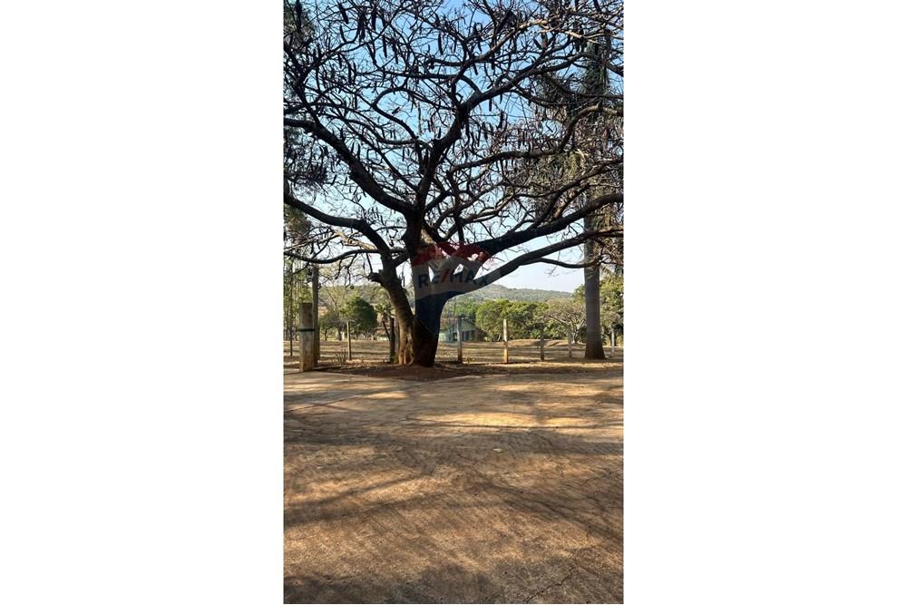 Chácara / Sítio / Fazenda - Venda - Catalão , Goiás - WhatsApp Image 2025-09-26 at 15.40.31.jpeg - 722251002-53