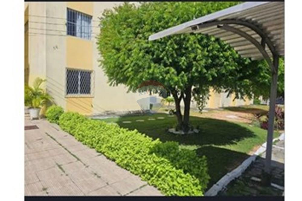 Apartamento - Venda - Parnamirim , Rio Grande do Norte - WhatsApp Image 2025-05-29 at 14.01.22.jpeg - 720731020-128