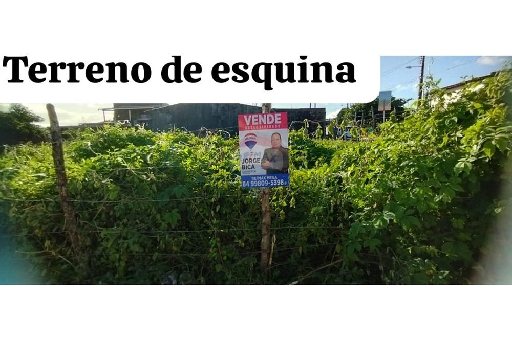 Terreno - Venda - Natal , Rio Grande do Norte - WhatsApp Image 2025-07-27 at 14.27.24.jpeg - 720891003-88