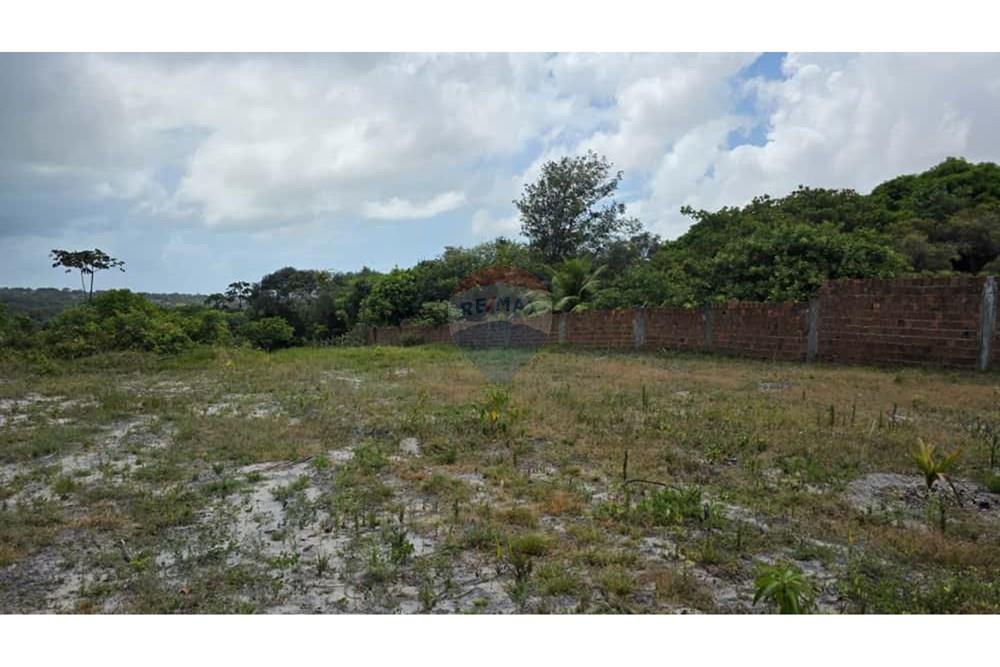 Chácara / Sítio / Fazenda - Venda - Conde , Paraíba - 1a97bae4-151e-4d6a-bcc7-ff83c98d04a3.jpg - 720871061-12