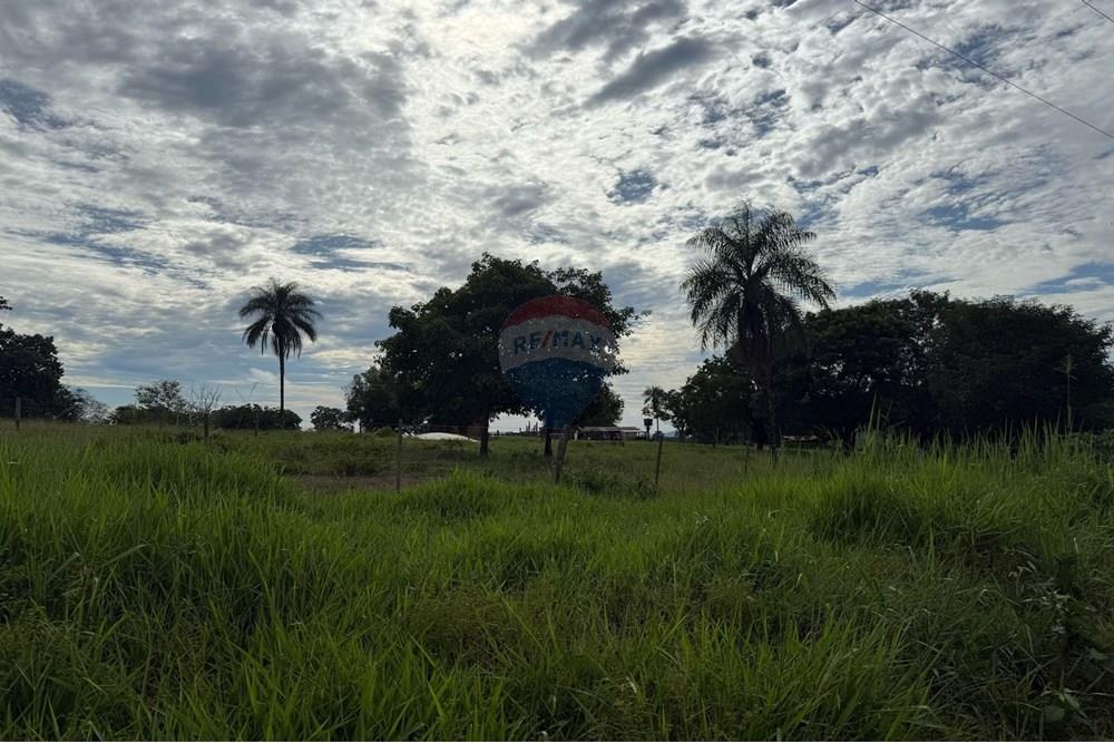 Chácara / Sítio / Fazenda - Venda - São José do Povo , Mato Grosso - IMG-20250407-WA0077.jpg - 720851027-112
