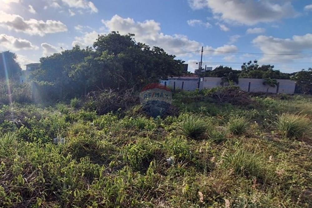 Terreno - Venda - Conde , Paraíba - ca6e0539-9adf-4c4b-8549-85b8ead29f44.jpeg - 720871044-98