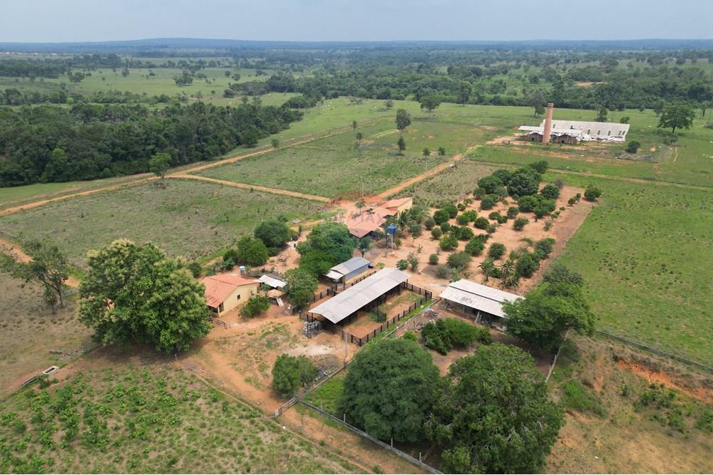 Fazenda - Venda - Nova Olinda , Tocantins - WhatsApp Image 2024-11-29 at 16.16.16.jpeg - 720991010-57