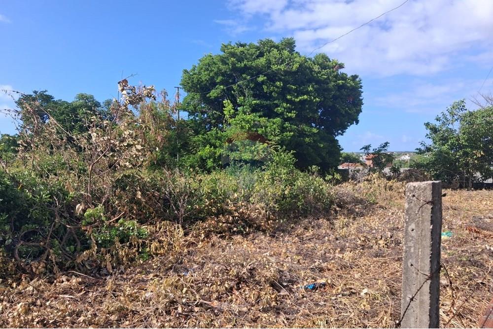 Terreno - Venda - Conde , Paraíba - e904a797-6eab-48c1-b1da-f9b0dcc963cc (1).jpeg - 720871044-69