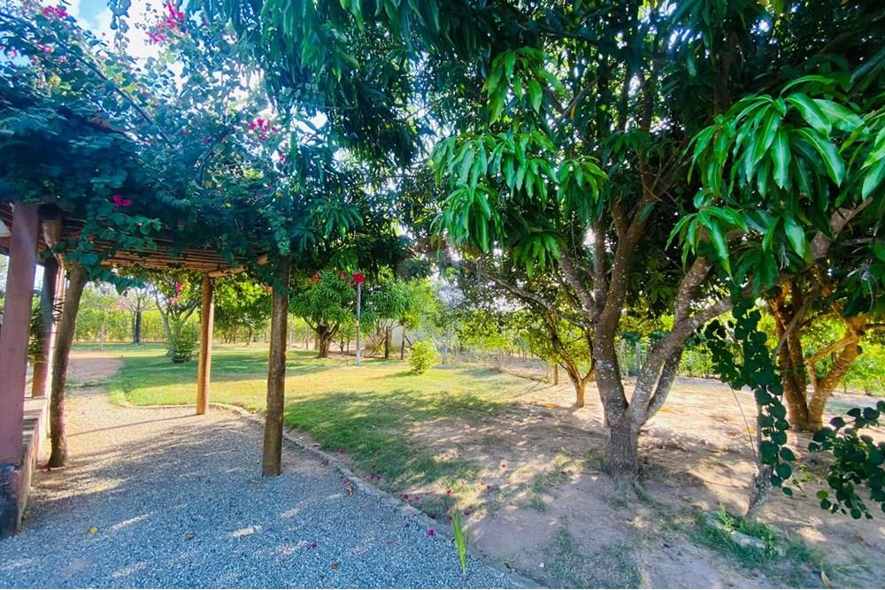 Chácara / Sítio / Fazenda - Venda - Parauapebas , Pará - IMG-20250908-WA0132.jpg - 722021013-13