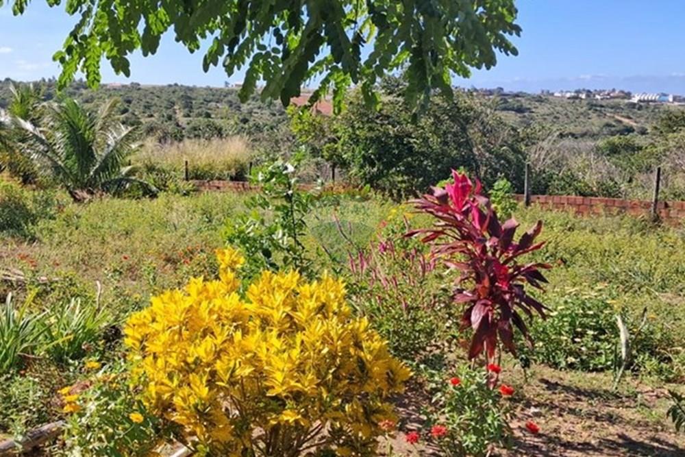 Casa - Venda - Pitimbu , Paraíba - 05b37637-1bae-4f64-baea-7c8d314866d9.jpeg - 720871044-84