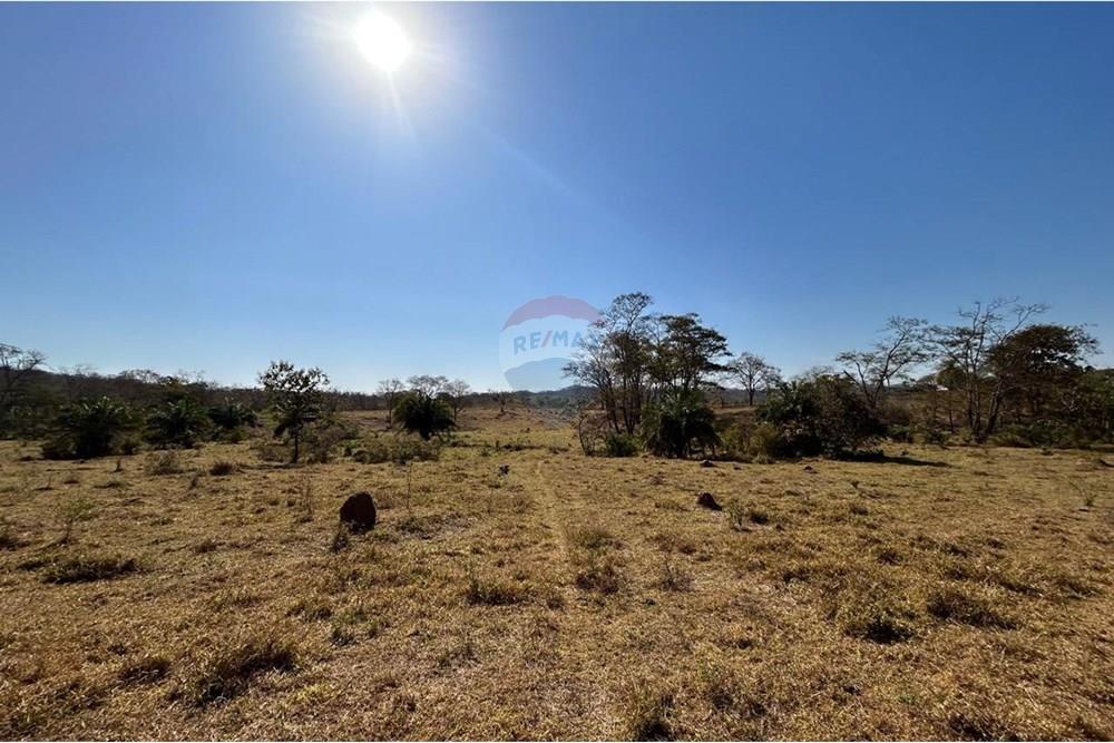 Fazenda - Venda - São José do Povo , Mato Grosso - WhatsApp Image 2025-08-20 at 09.44.08.jpeg - 720561029-219