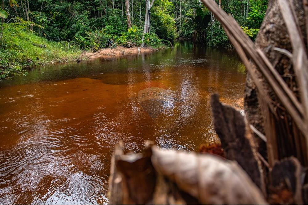 Chácara / Sítio / Fazenda - Venda - Novo Airão , Amazonas - IMG_7320.jpg - 720721055-29