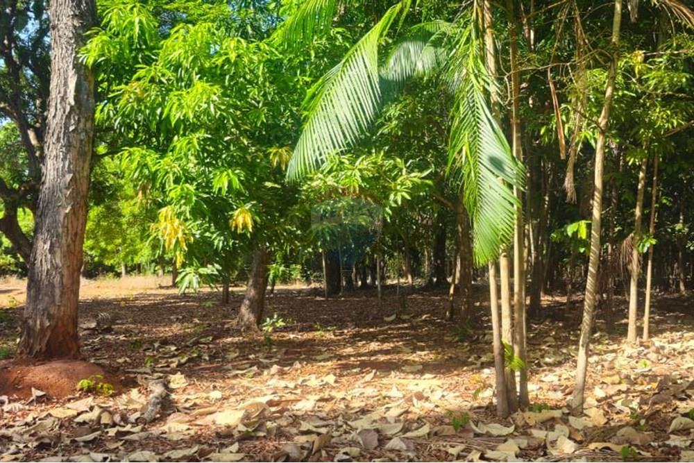 Chácara / Sítio / Fazenda - Venda - Araguaína , Tocantins - WhatsApp Image 2025-08-06 at 14.32.30 (1).jpeg - 722171039-19