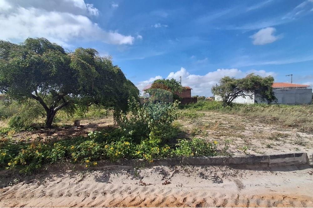 Terreno - Venda - Conde , Paraíba - 4881fde8-c7bd-476c-9211-522e80c0dc1e.jpeg - 720871044-38