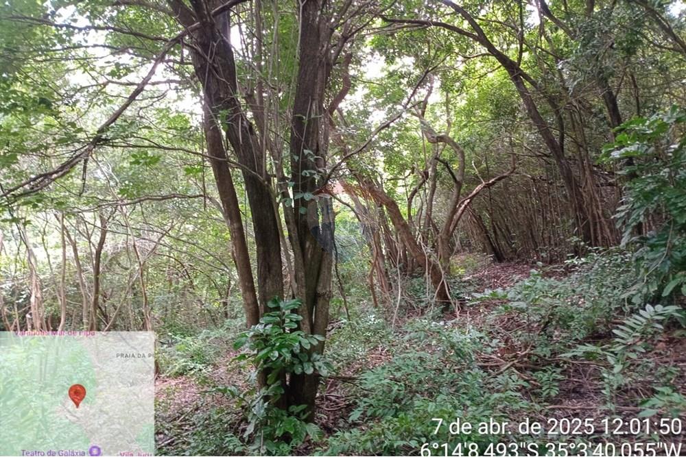Terreno - Venda - Tibau do Sul , Rio Grande do Norte - Gustavo5.jpeg - 720891150-75