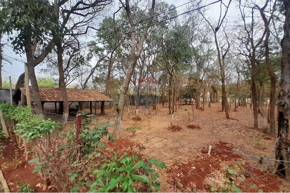 Chácara / Sítio / Fazenda - Venda - Nova Veneza , Goiás - WhatsApp Image 2025-10-08 at 10.28.06 (2).jpeg - 722271015-32