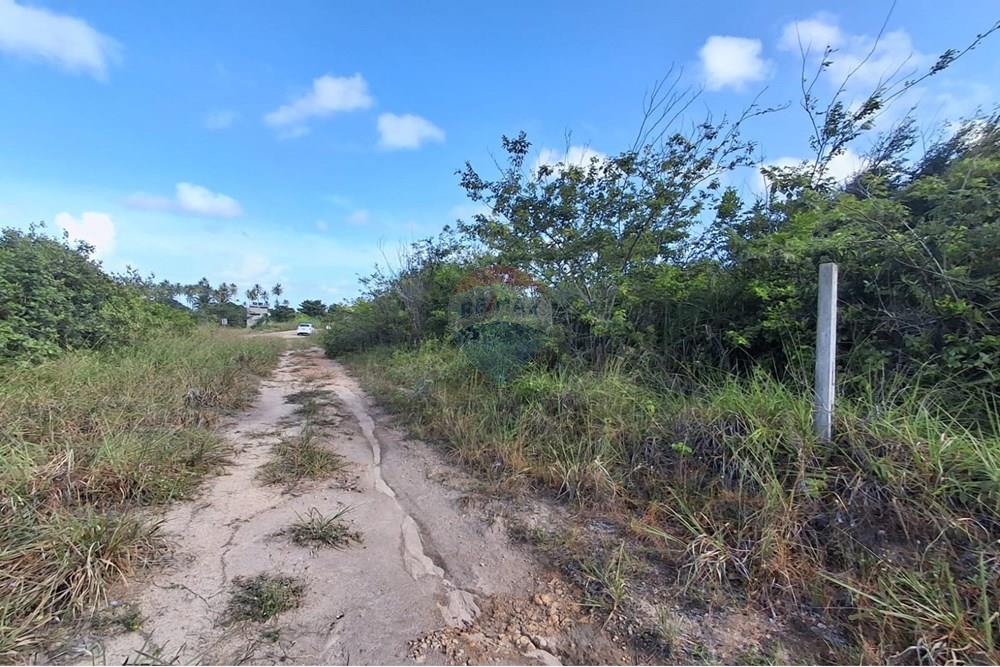 Terreno - Venda - Pitimbu , Paraíba - 76867af7-4c84-40f9-b96b-427b6252a7e8.jpg - 720871044-59