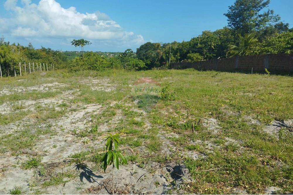 Chácara / Sítio / Fazenda - Venda - Conde , Paraíba - d62aae1f-4d2d-49a2-b7bb-a4eb46a6e3fe.jpg - 720871061-12