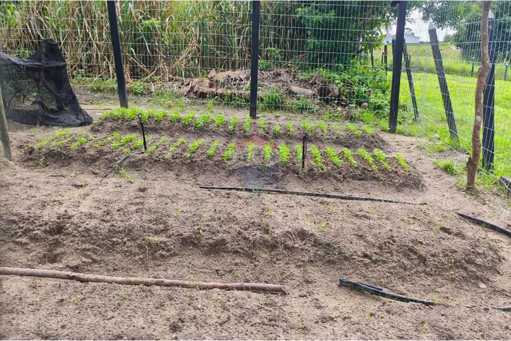 Terreno - Venda - Conde , Paraíba - 8610a577-d75c-403c-935c-4d8fa0a43ea8.jpg - 720871056-15