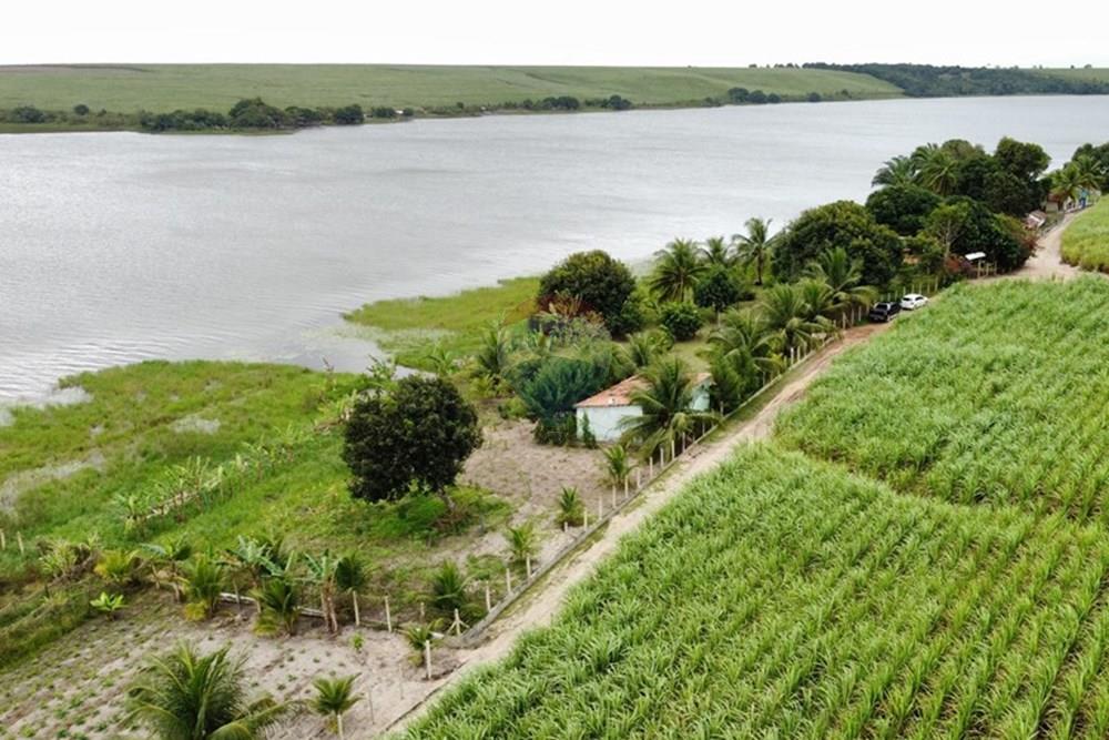 Chácara / Sítio / Fazenda - Venda - Alhandra , Paraíba - dji_fly_20250907_151924_882_1757269175915_photo_optimized.jpg - 722011055-48