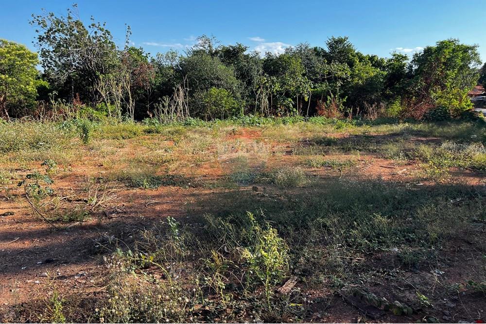 Terreno - Venda - Araguaína , Tocantins - WhatsApp Image 2025-08-25 at 23.28.25.jpeg - 722171037-20