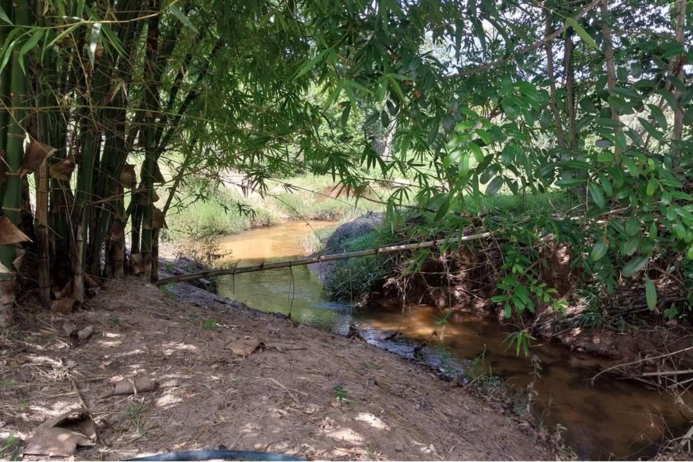 Chácara / Sítio / Fazenda - Venda - Rondonópolis , Mato Grosso - Imagem do WhatsApp de 2025-04-03 à(s) 17.02.37_bacb5b05.jpg - 722261002-10