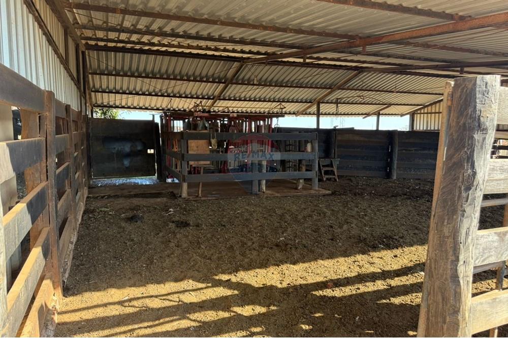 Fazenda - Venda - Rondonópolis , Mato Grosso - munaro (3).jpg - 720851027-122