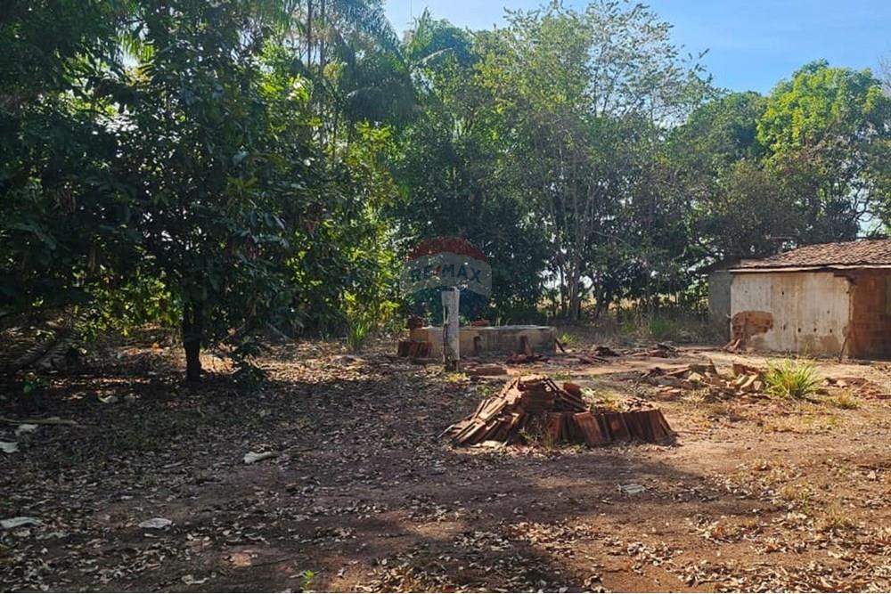 Chácara / Sítio / Fazenda - Venda - Araguaína , Tocantins - WhatsApp Image 2025-08-06 at 14.32.29.jpeg - 722171039-19